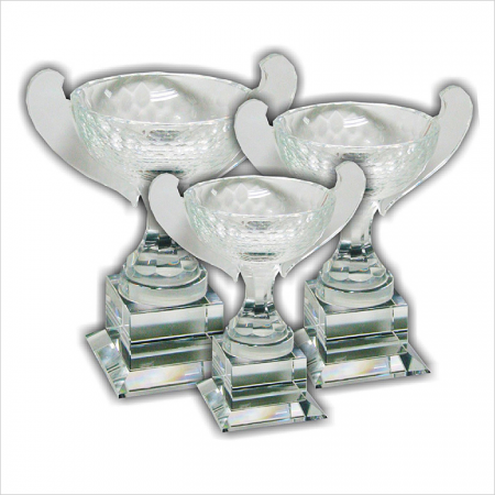 Crystal Glass Award 8123
