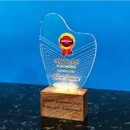 Acrylic LED Lighting Trophy 7805